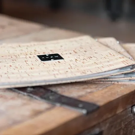 オテル レ バルコンス ヴィラージュ ホテル 3*